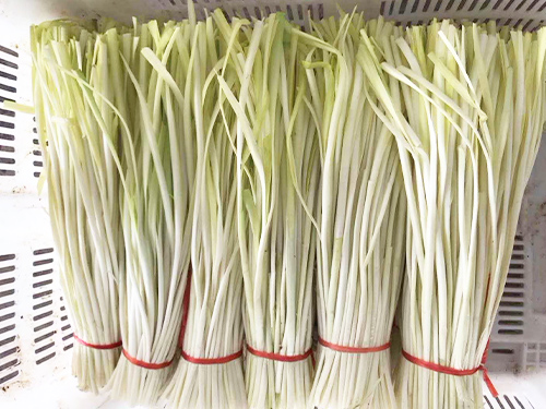 业工厂食堂承包