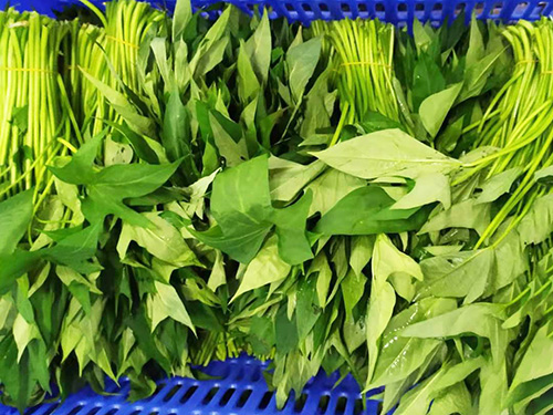 承包食堂公司
