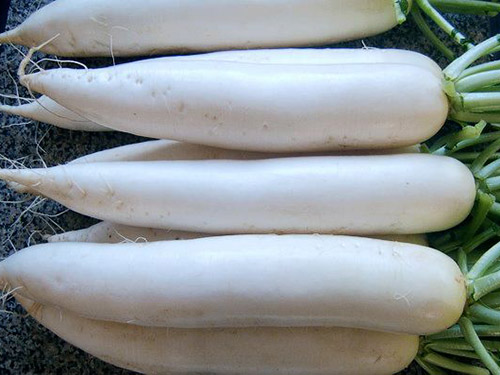 食堂承包